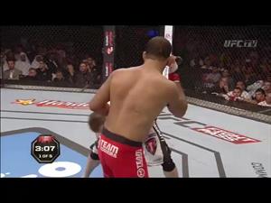  Roy Nelson vs Brendan Schaub  Full Fight TUF 10 Finale MMA 