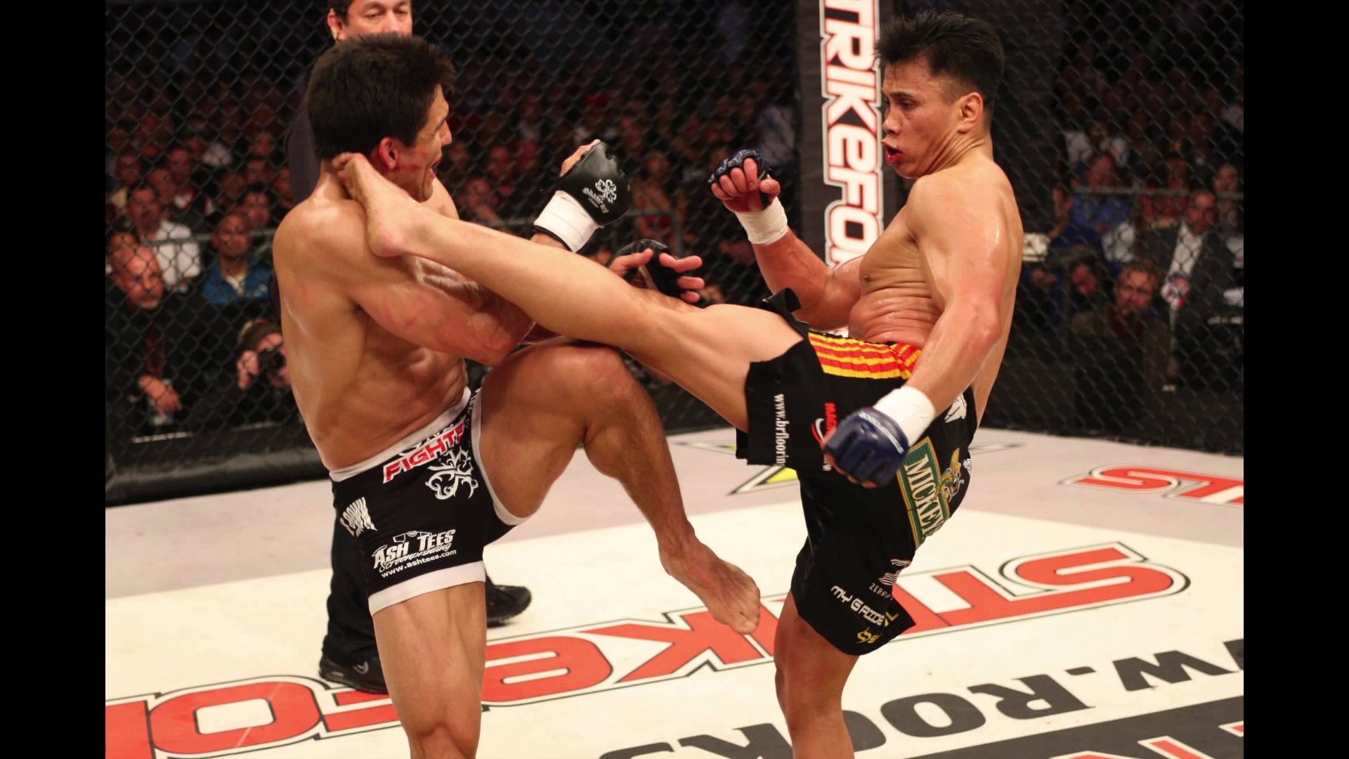Cung Le talks UFC in China, middleweight division, and new action m...