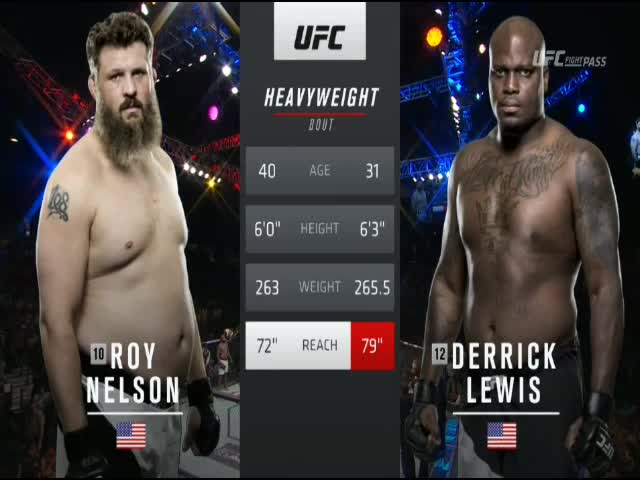  Roy  Nelson  vs  Derrick  Lewis  UFC Fight Night 90 Full Fight 